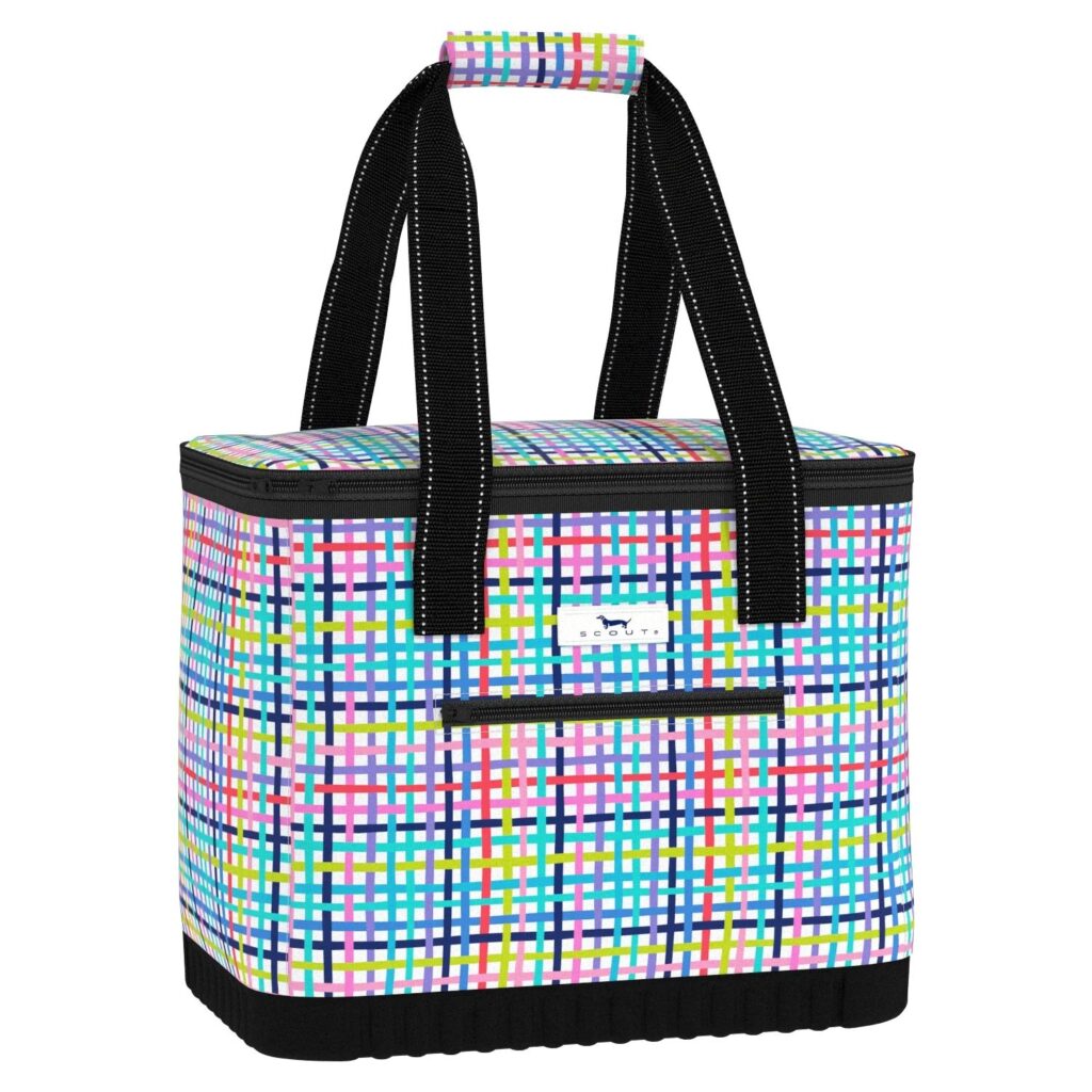 Beach Bag, cooler bag, picnic bag, lunch bag