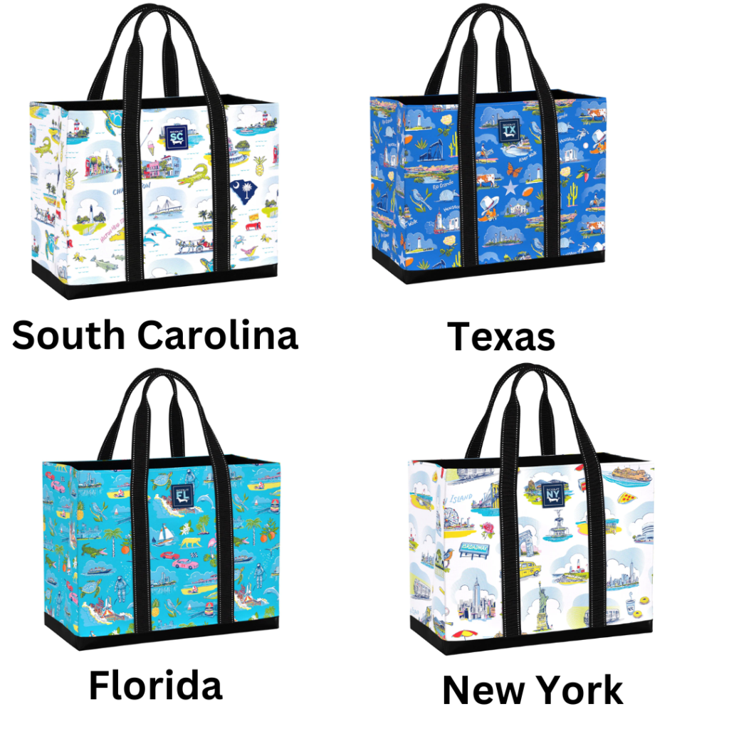 beach bag, lake bag, pool bag, everyday bag, camping bag