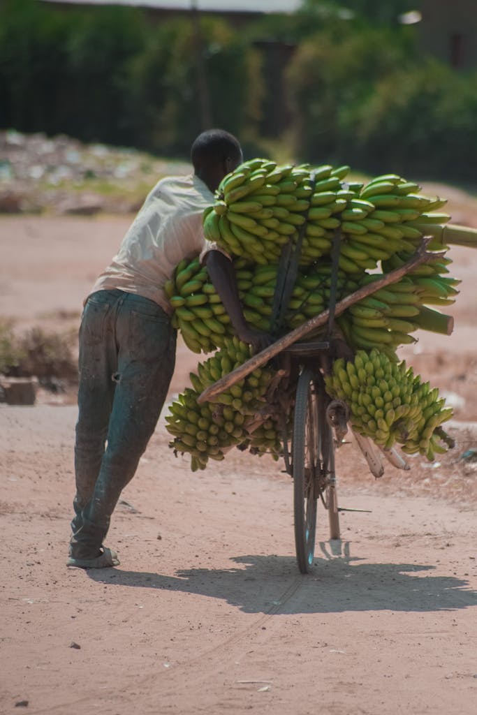 spraying bananas, healthy bananas, eating bananas