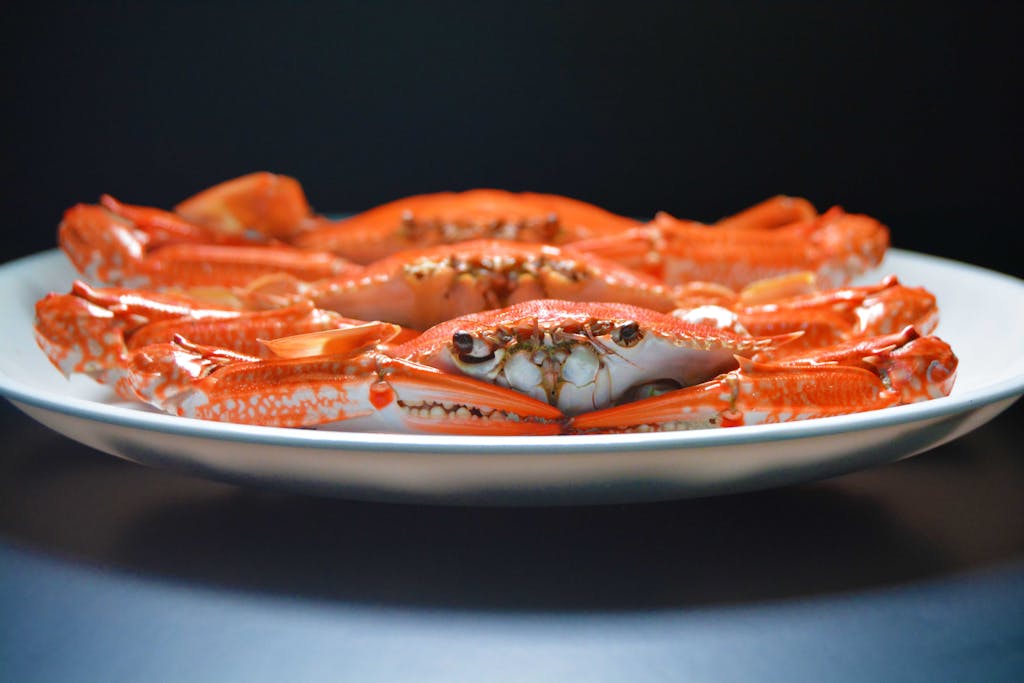 crab, crab dip, cooked crab