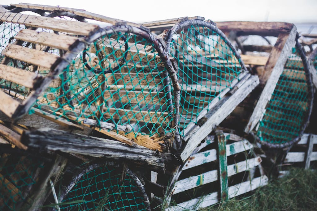 crab trap