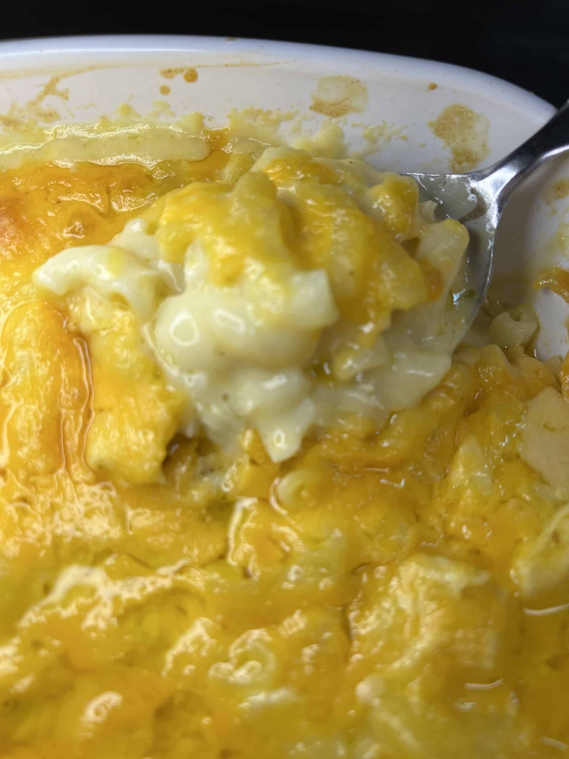 Spoonful of creamy Chicken Macaroni Casserole with melted cheddar on top in a white dish.
