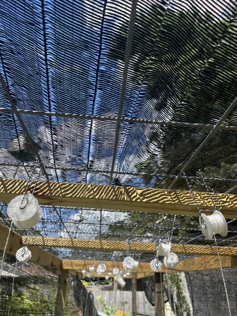 A garden must have: a pergola with black netting and hanging glass lanterns in a sunlit retreat.