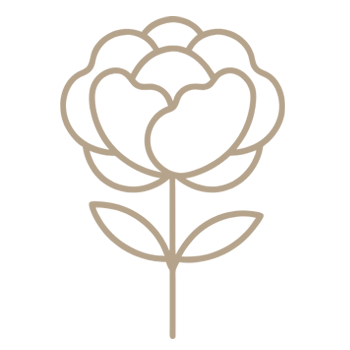 Simple line drawing of a flower with five rounded petals, two leaves, and a single stem on a white background.
